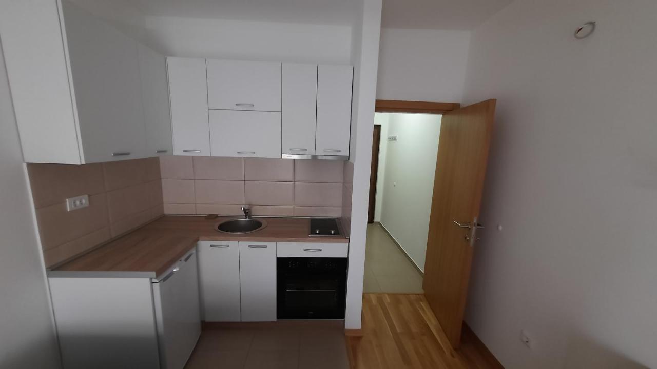 Apartman Seka Apartment Podgorica Bagian luar foto
